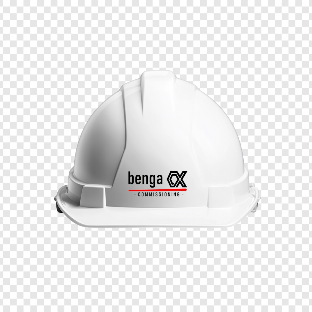 Benga Cx Commissioning Uzmanı